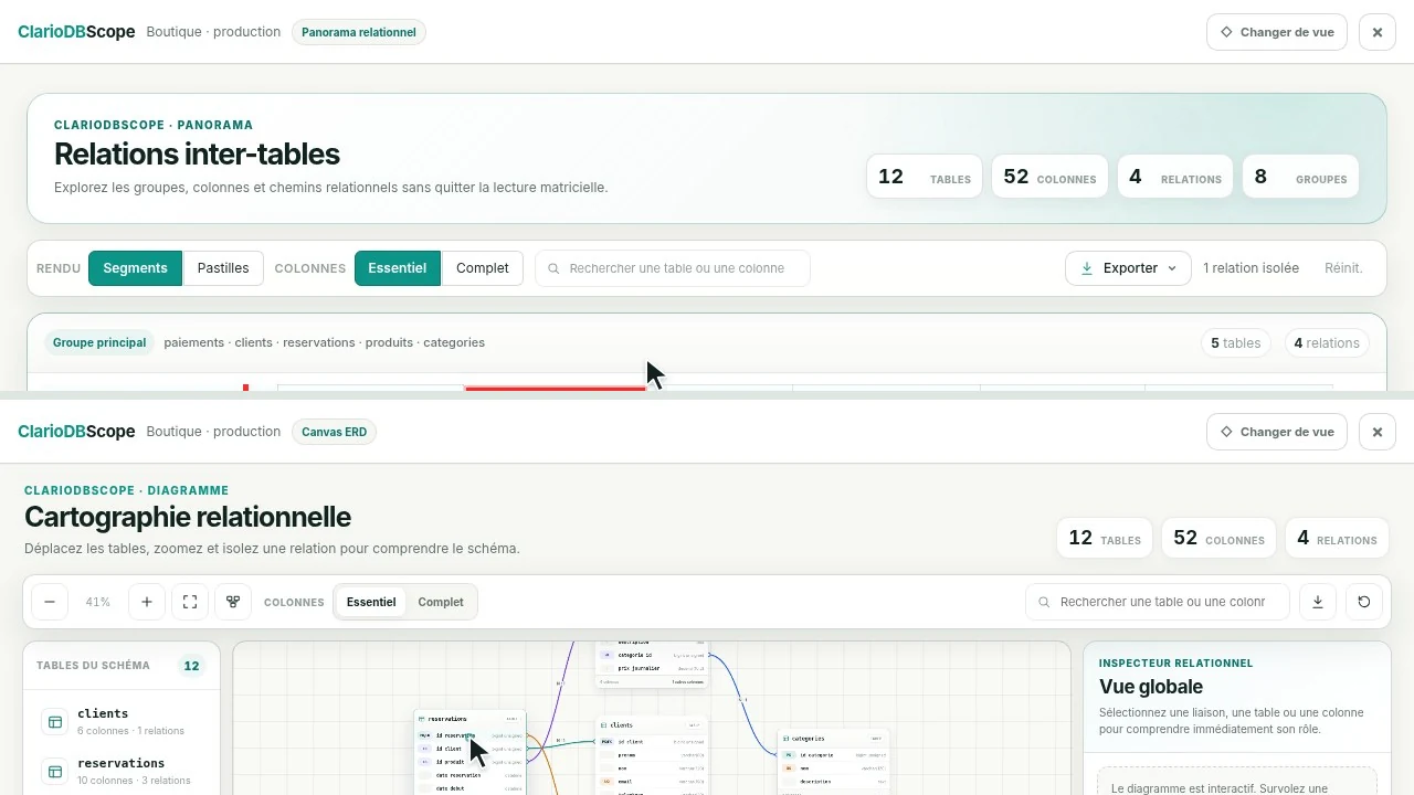 The two current ClarioDBScope views: relational panorama and ERD canvas